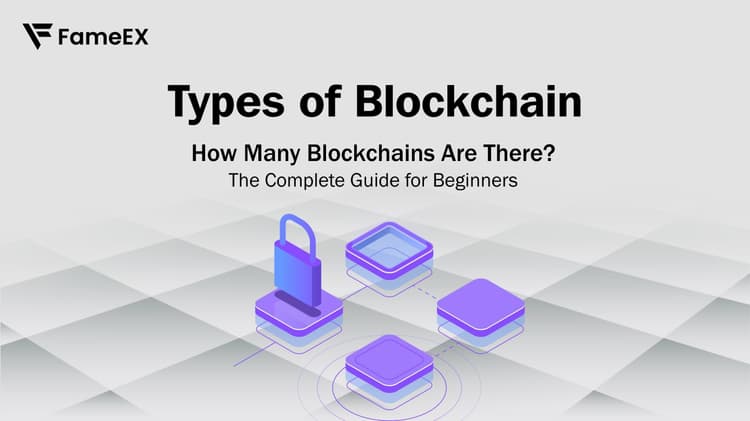 Tipos de Blockchain: Quantos Blockchains Existem? O Guia Completo para Iniciantes