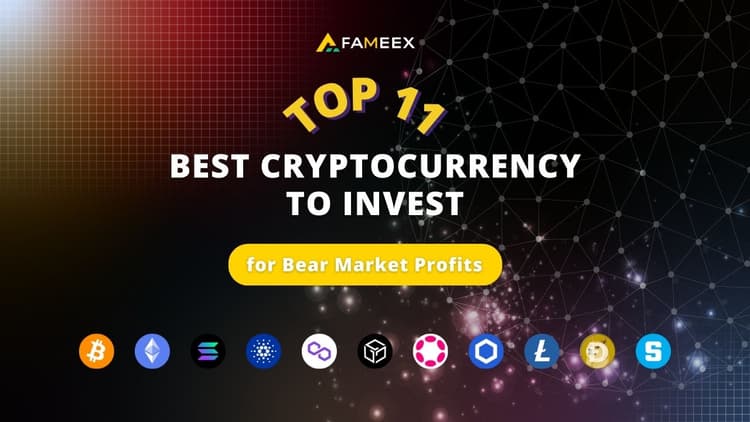 As 11 melhores criptomoedas para investir em 2023 para obter lucros no Bear Market