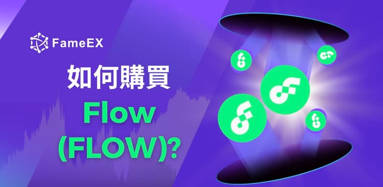 如何購買Flow（FLOW）-入門指南