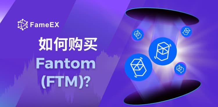 如何购买Fantom（FTM）- 入门指南