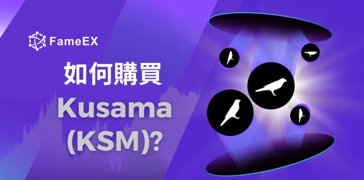 如何購買Kusama（KSM）-入門指南