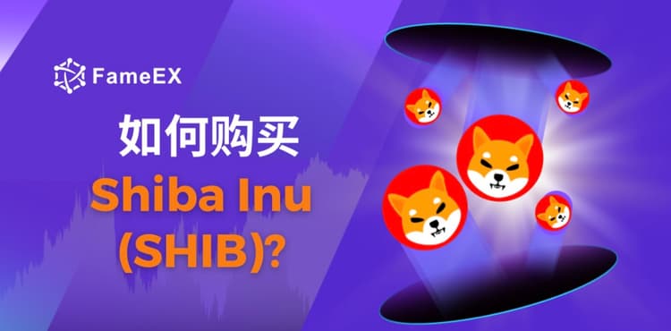 立即使用信用卡或借记卡购买Shiba Inu (SHIB)