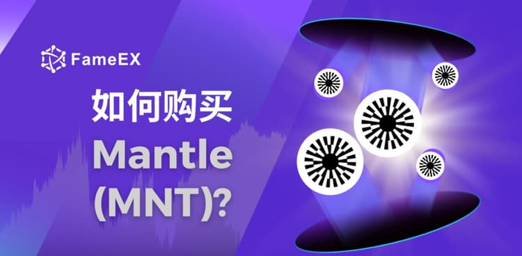 立即使用信用卡或借记卡购买Mantle (MNT)