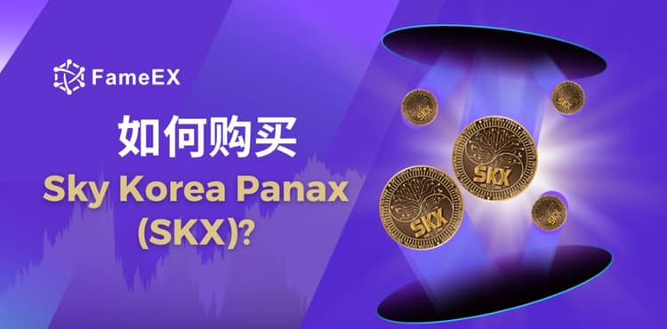 如何购买Sky Korea Panax（SKX）- 入门指南