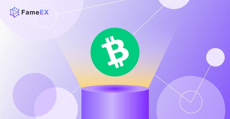 How To Trade Bitcoin Cash(BCH) in Australia?