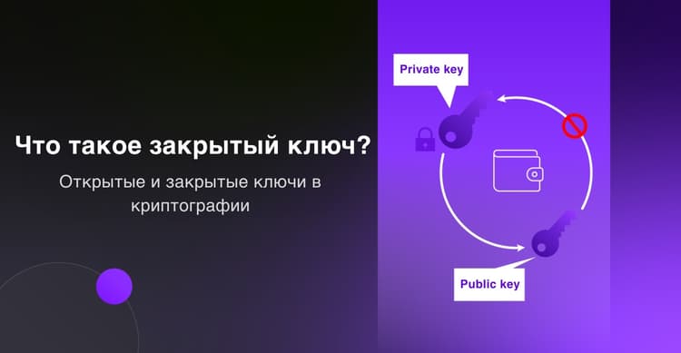 Что такое закрытый ключ? Открытые и закрытые ключи в криптовалюте: Основы