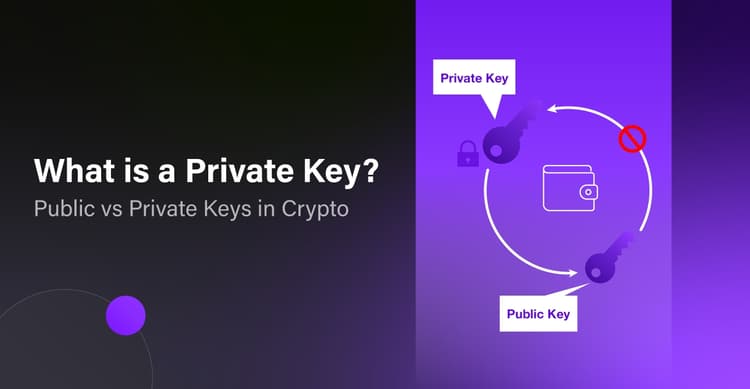 What is a Private Key and Public Key Cryptography: How To Store & How It Works in Crypto