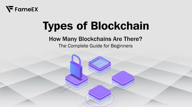 Types of Blockchain:  How Many Blockchains Are There? The Complete Guide for Beginners