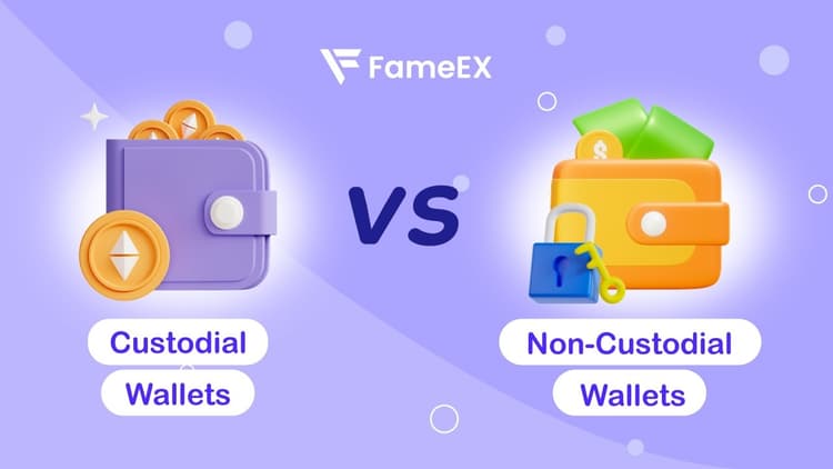 Custodial vs Non-custodial Wallet - What's the non custodial wallet?