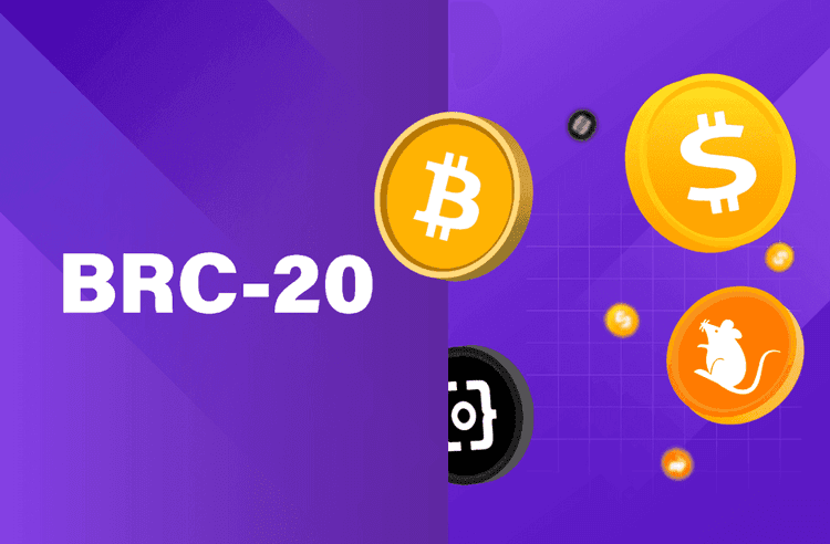 Top Bitcoin BRC20 Projects in 2024: Identifying High-Potential Investments for Australians